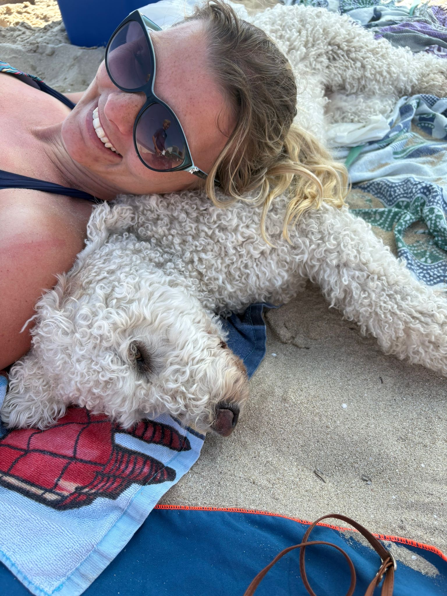 Maya, Spanischer Wasserhund (Perro de Agua Español), im Alltag – Foto 2