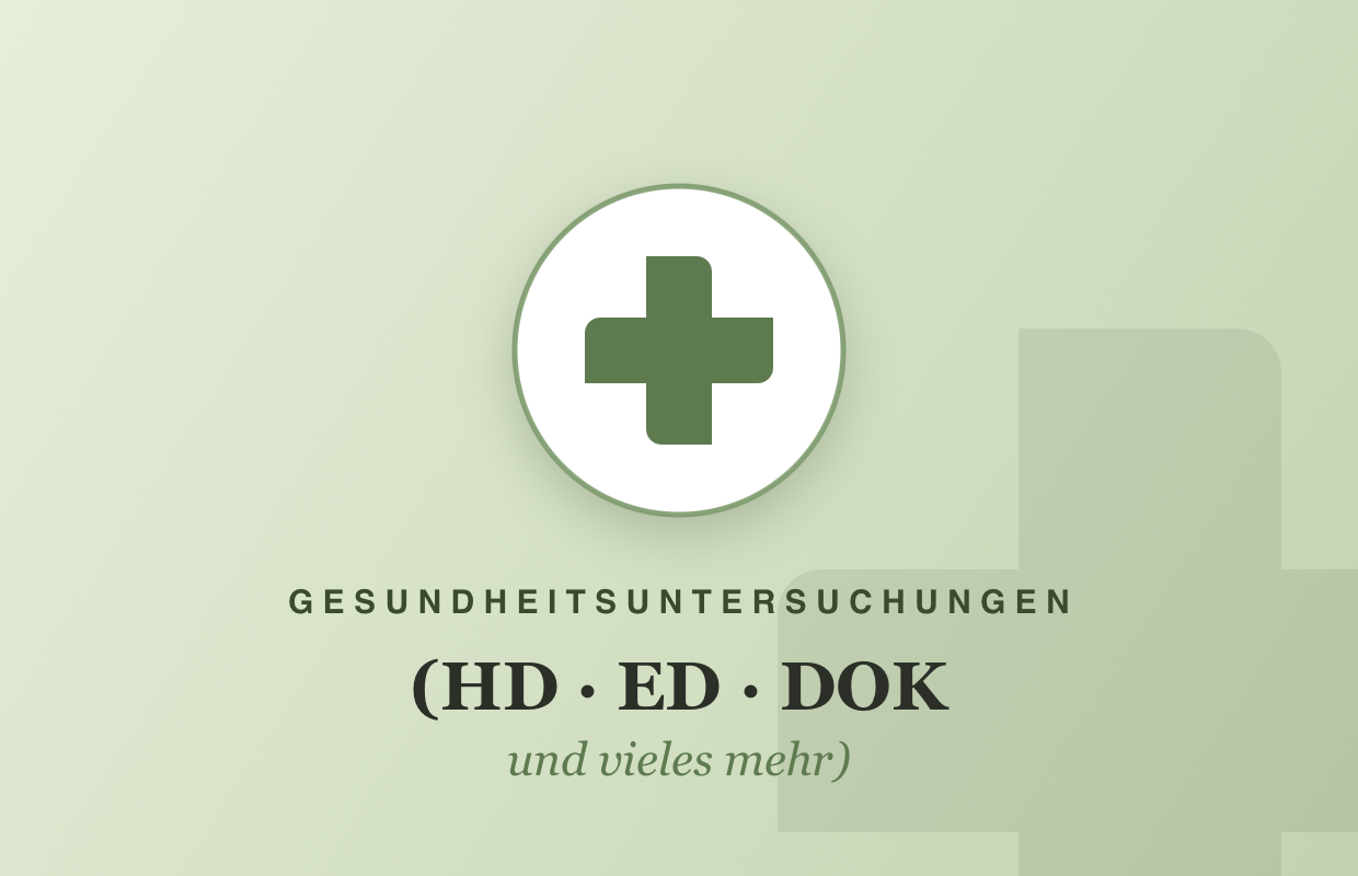 Gesundheitsuntersuchungen unserer Hündin: HD, ED, DOK und vieles mehr