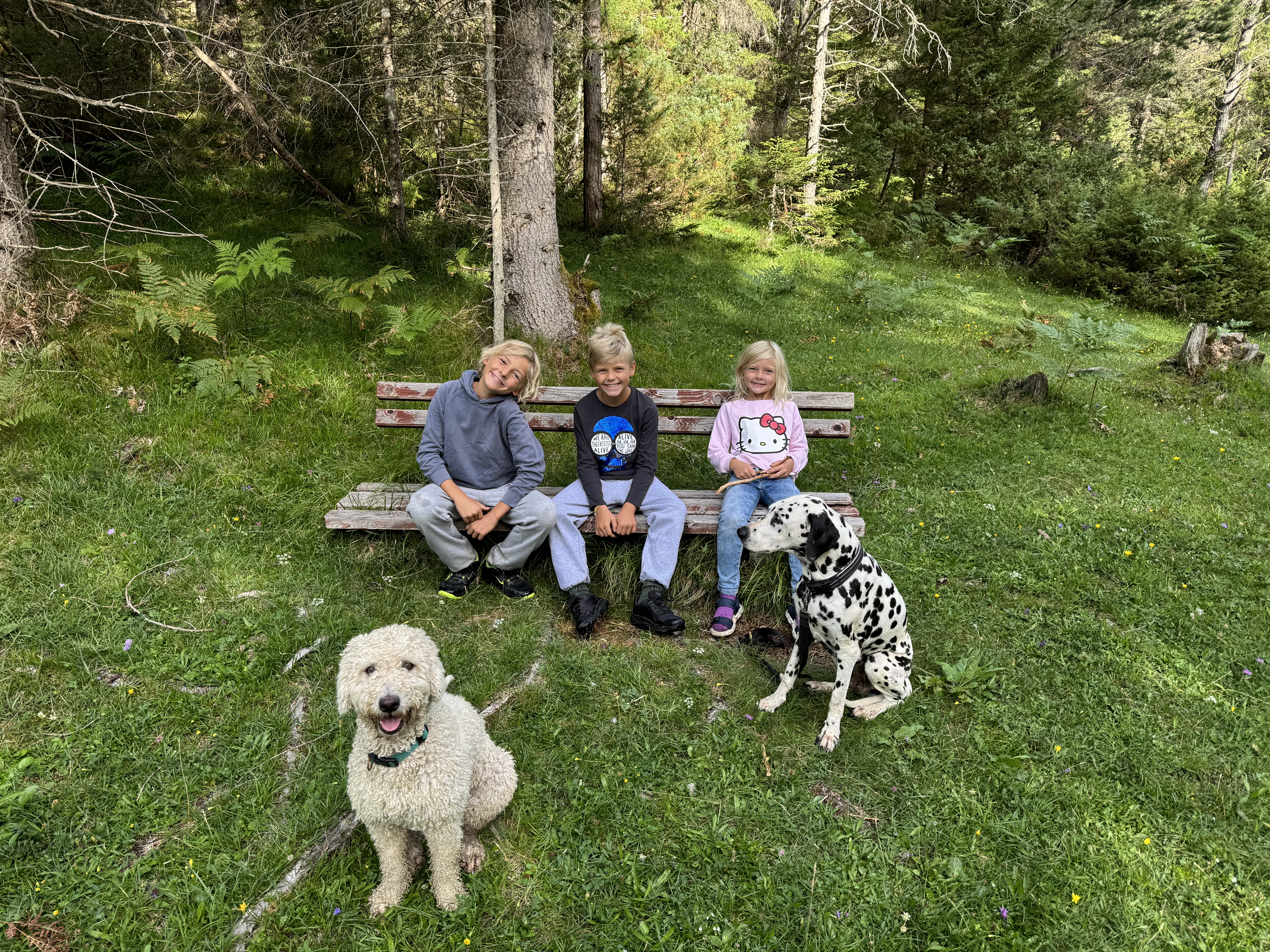 Die drei Kinder auf einer Waldbank mit Maya und Dalmatiner-Hündin Lina