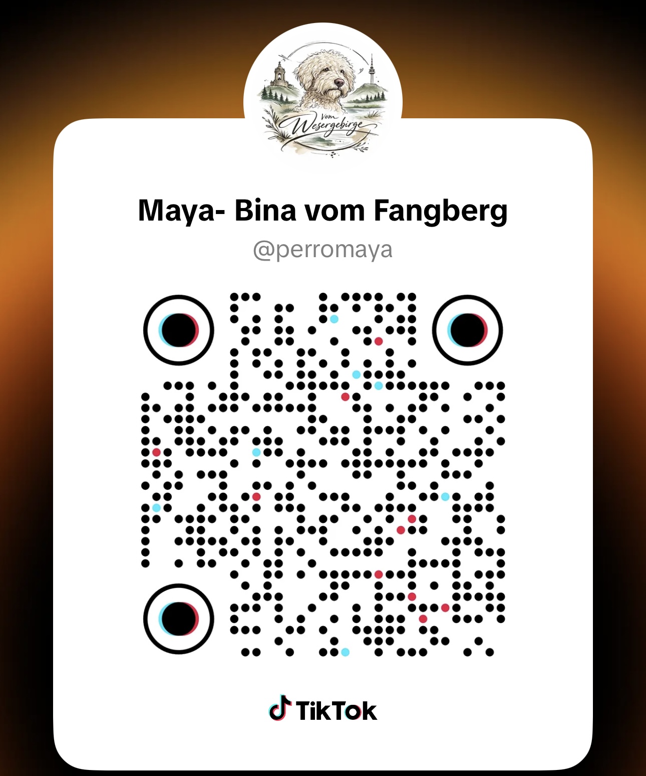 TikTok QR-Code von Maya – @perromaya