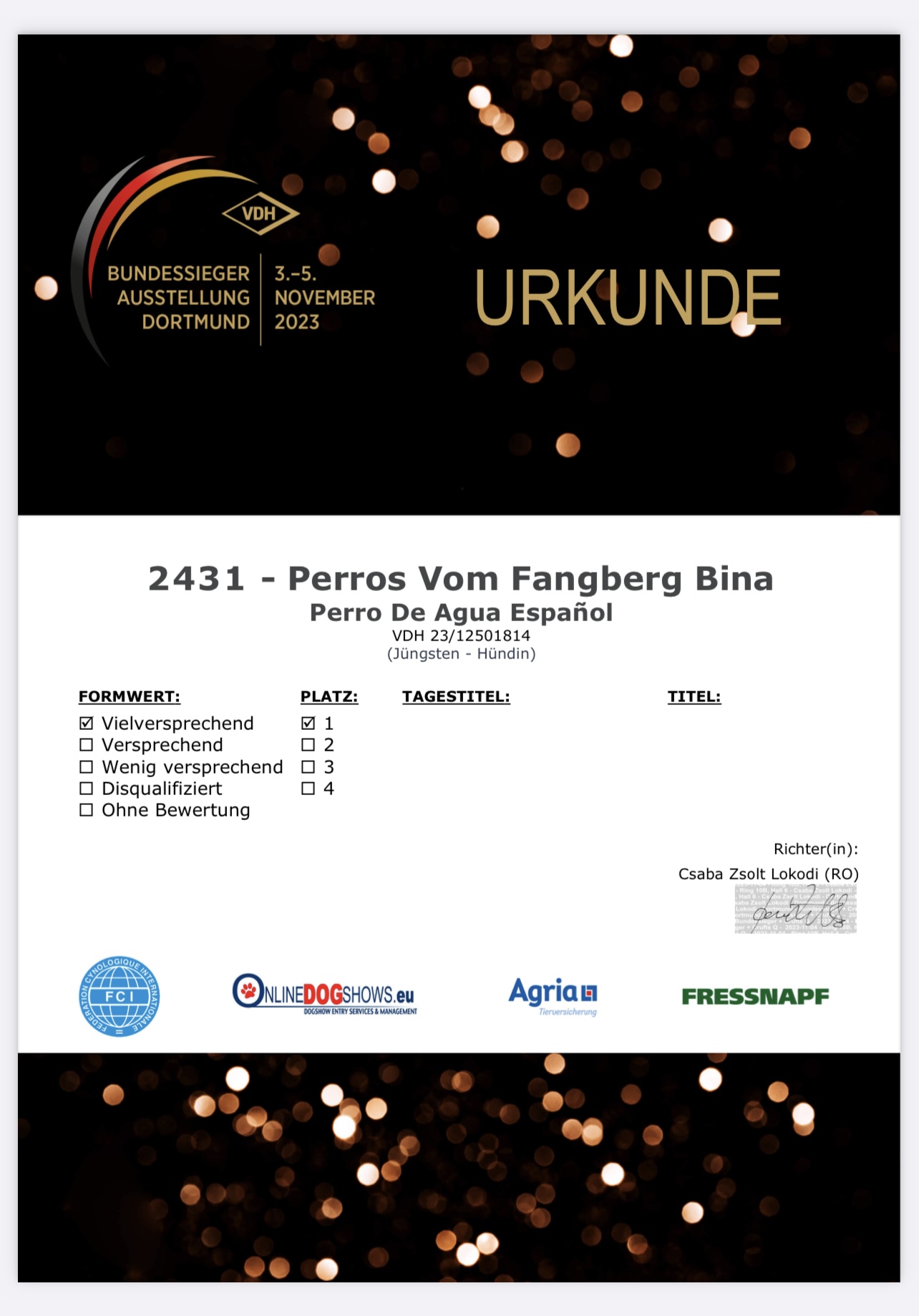 VDH-Urkunde Bundessieger-Ausstellung Dortmund 2023 – Perros vom Fangberg Bina, vielversprechend, Platz 1