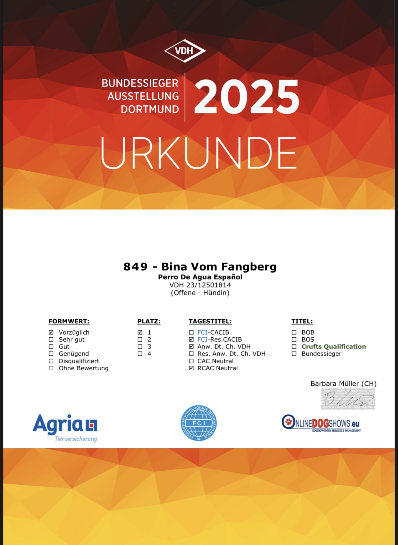 VDH Bundessieger-Ausstellung Dortmund 2025 Urkunde – Bina vom Fangberg, vorzüglich, Platz 1, Crufts-Qualifikation
