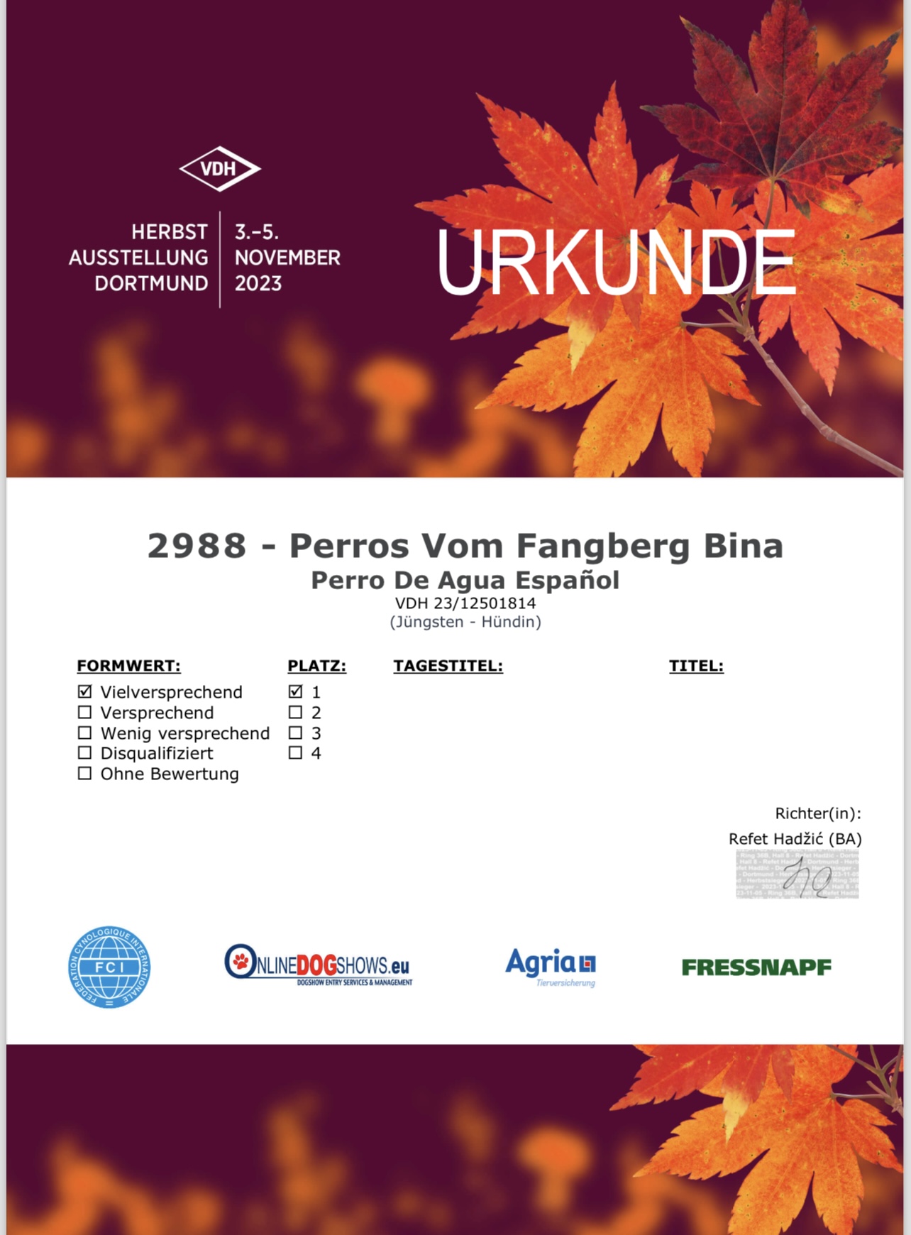 VDH-Urkunde Herbst-Ausstellung Dortmund 2023 – Perros vom Fangberg Bina, vielversprechend, Platz 1