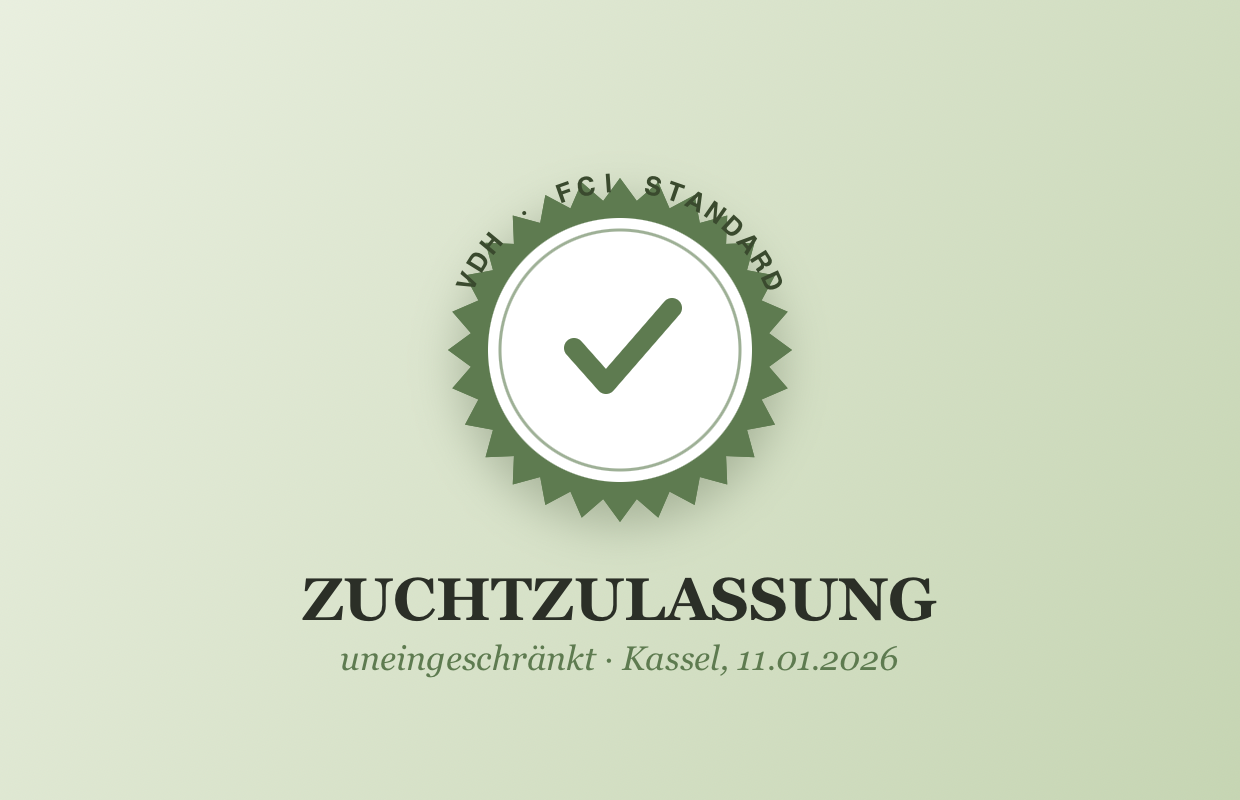 Zuchtzulassung nach VDH Standard – Maya hat ihre Zuchtzulassung uneingeschränkt in Kassel erhalten